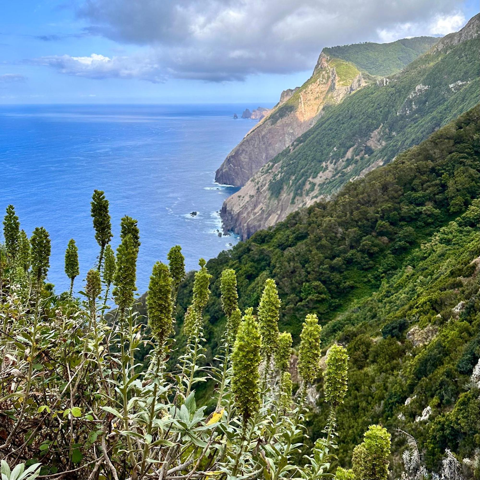 Apartment Getaway To Blue Paradise At Madeira Island *