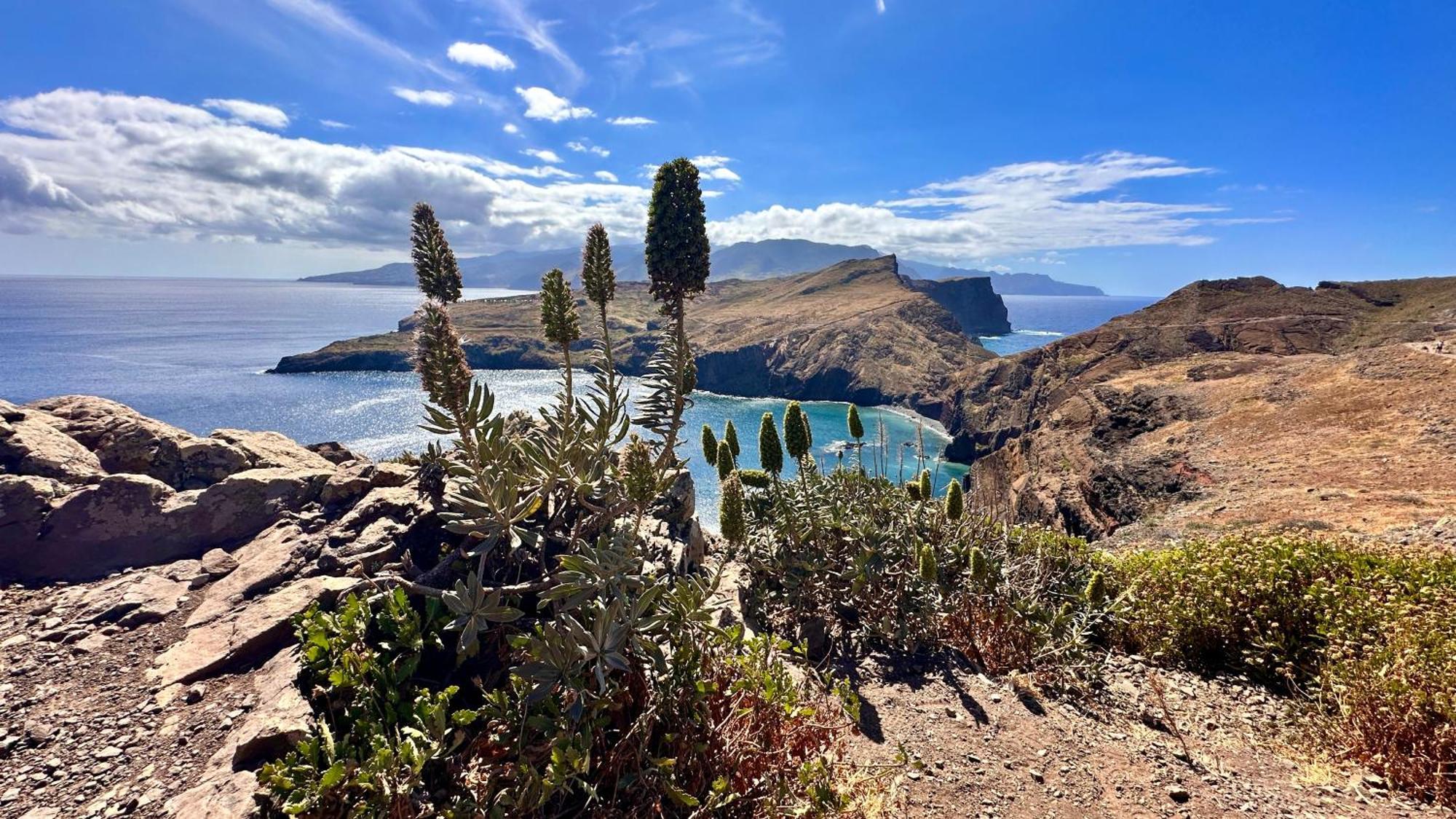 Apartment Getaway To Blue Paradise At Madeira Island *
