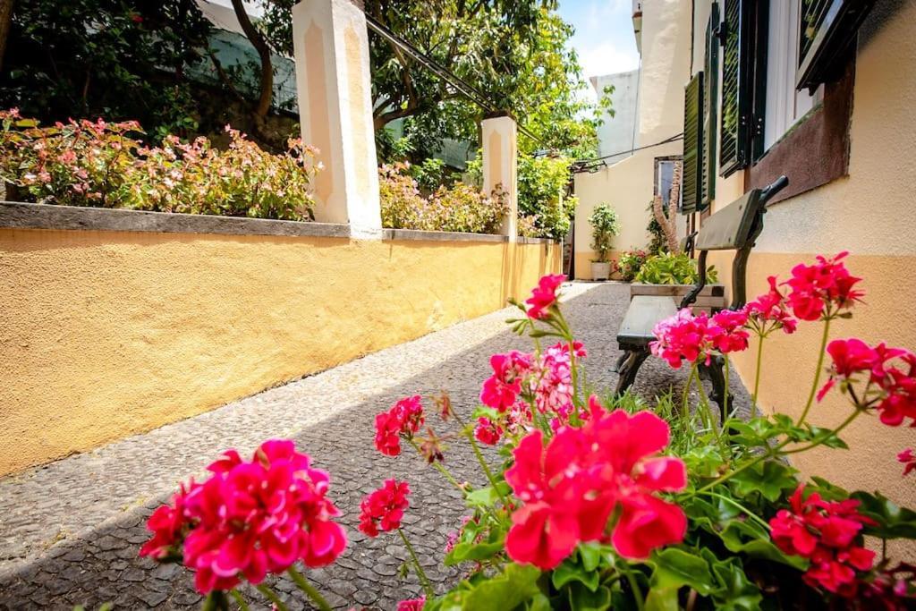 Private Pool Apt. With Great View Apartamento Funchal (Madeira)