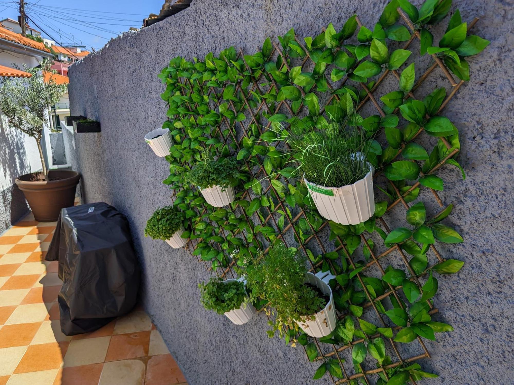 Vilă Casa Ascencao, Vista Mar Madeira *