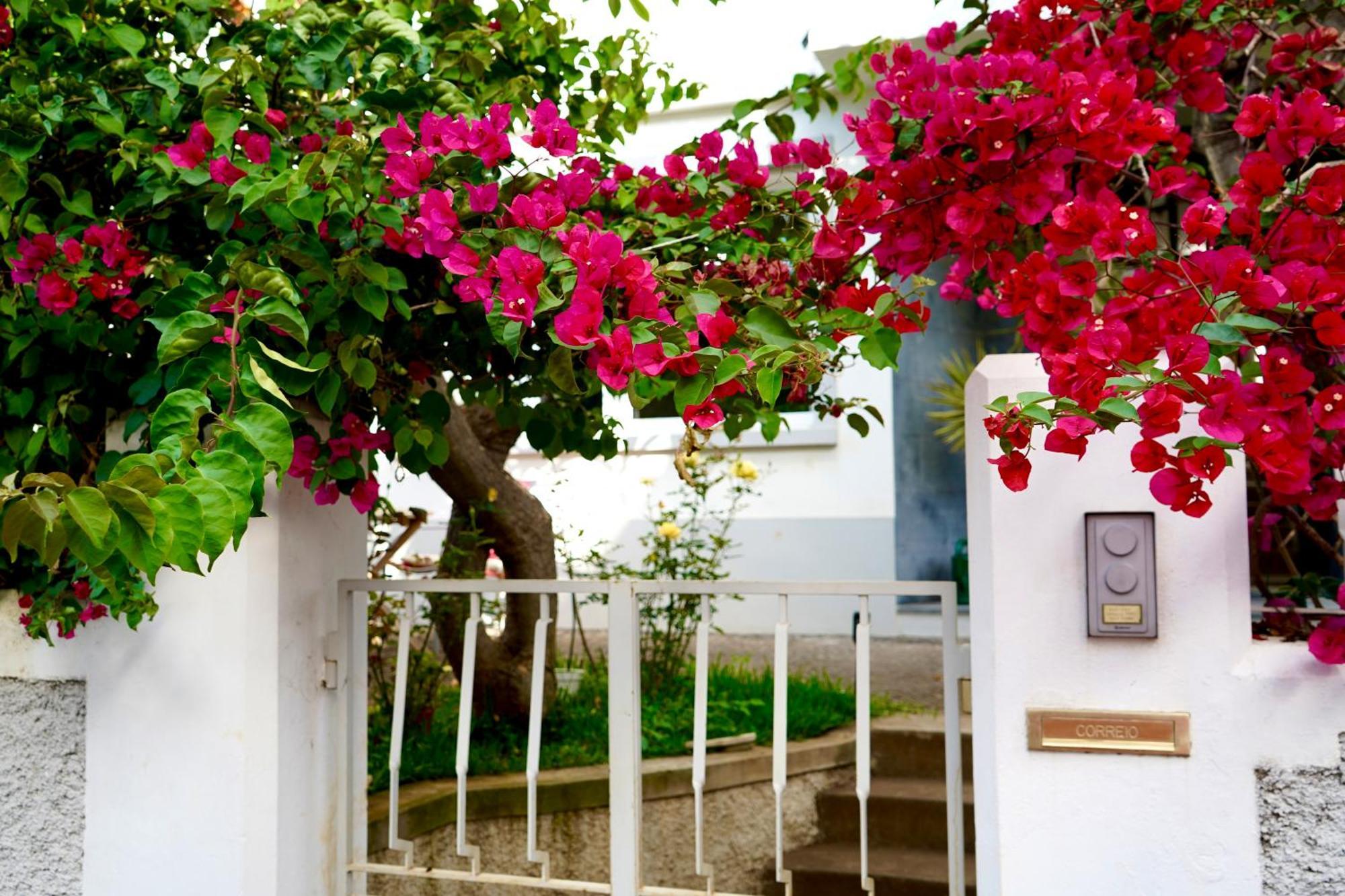 The Luzia House Holiday home *