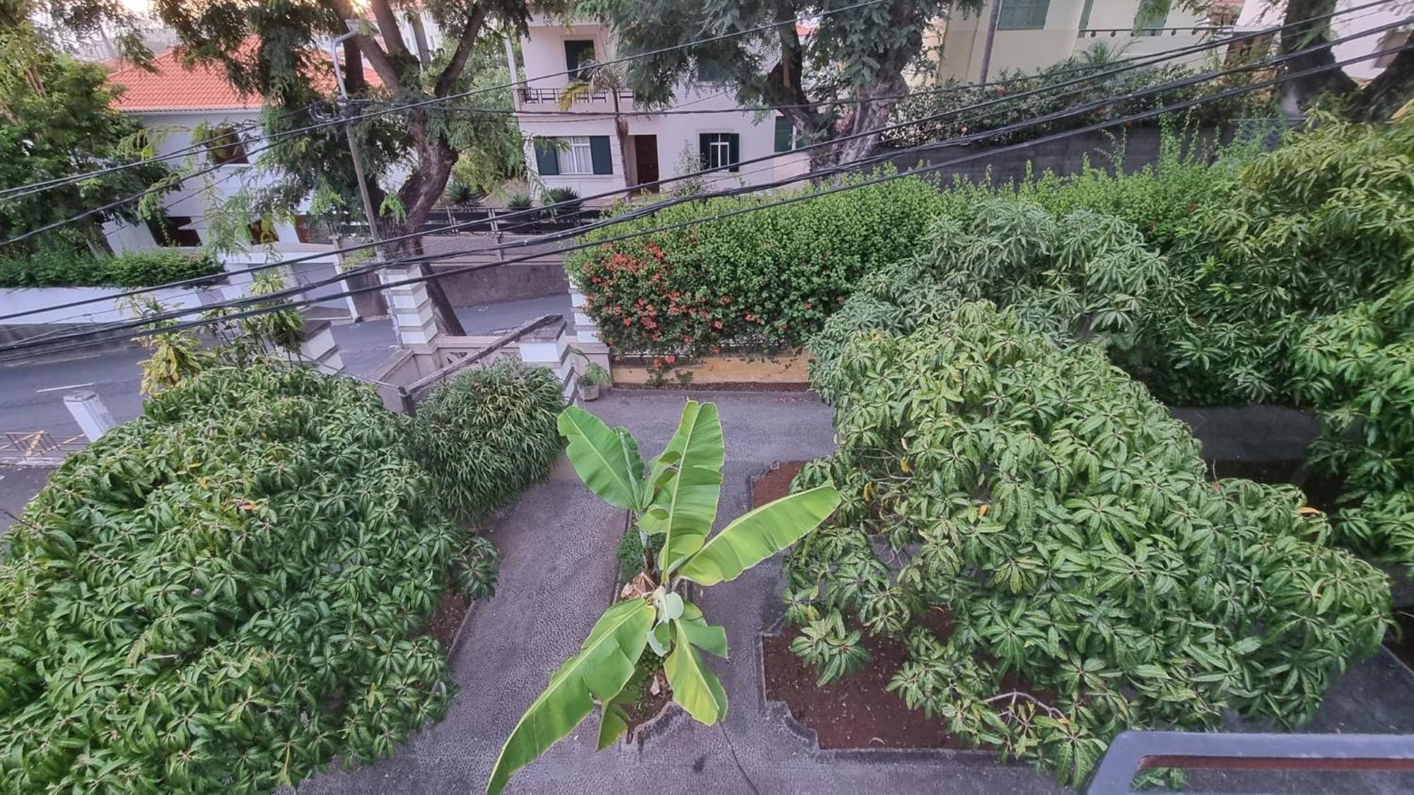Casa Da Avo Luisa Funchal (Madeira)