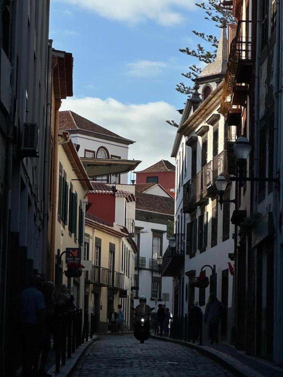 Vmadeira * Funchal (Madeira)