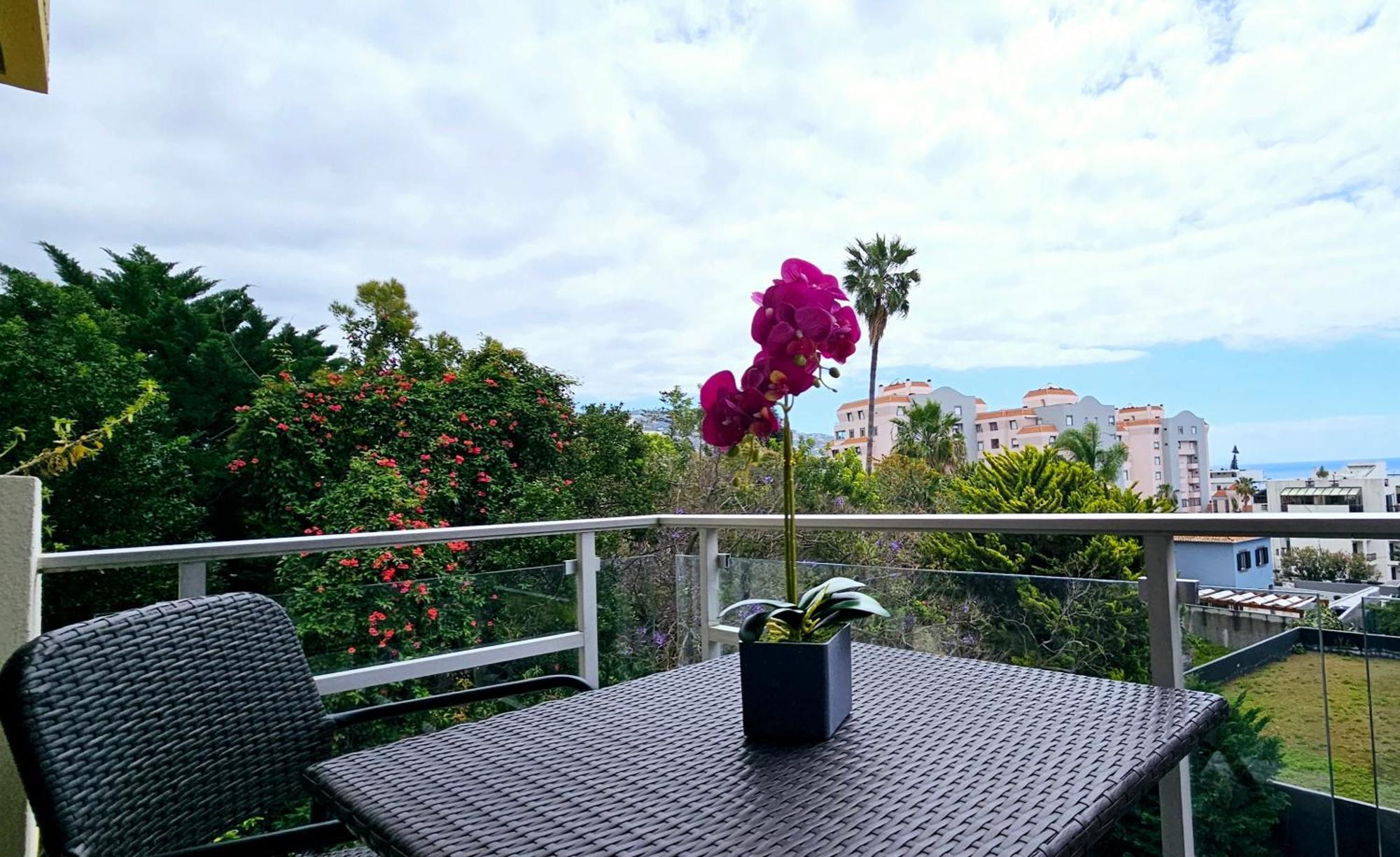 Hdfm Collection - Centro * Funchal (Madeira)