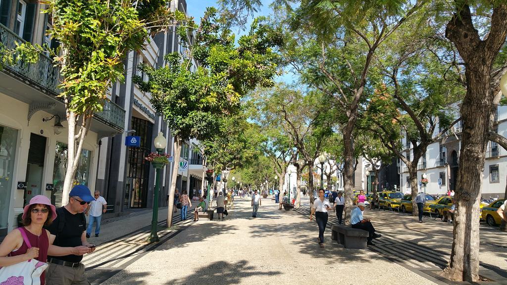 Homestay Edificio Charles 206