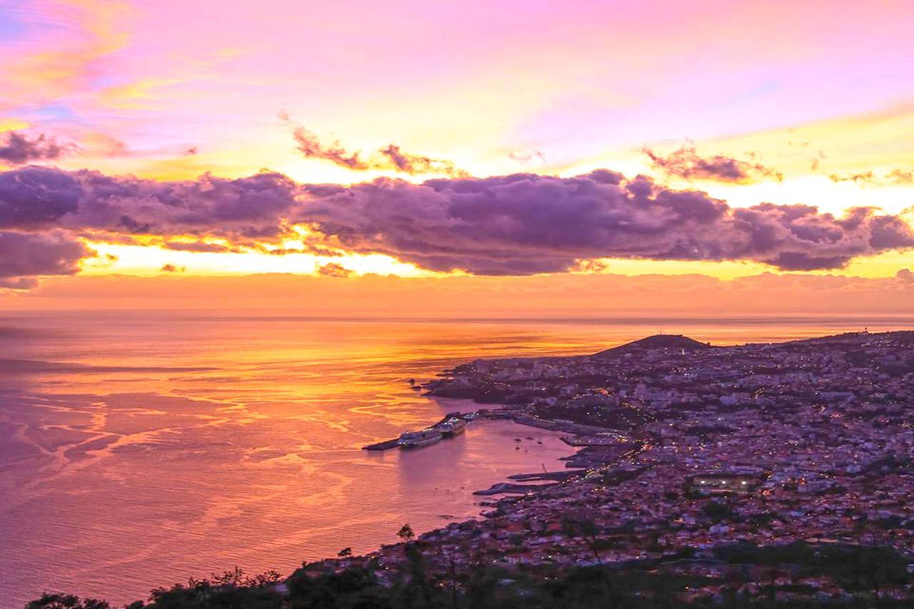 Luxury One Bedroom Palheiro Village By Hr Madeira Apartment
