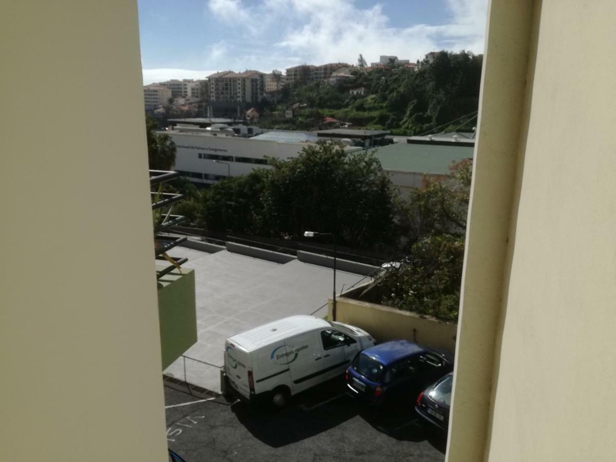 Madeira Gardens *