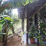 Cantinho Das Bananas
