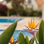Sunny Getaway In Funchal