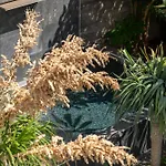 Eden Funchal By Lovelystay