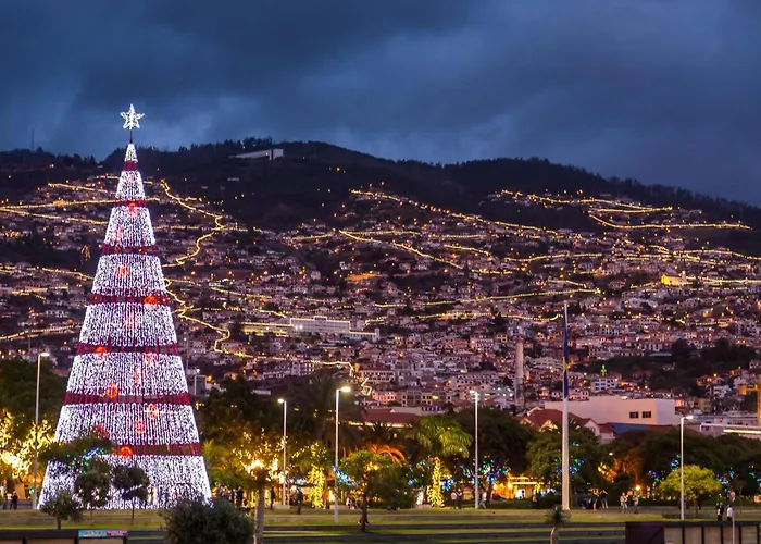 Funchal Center Apartment I