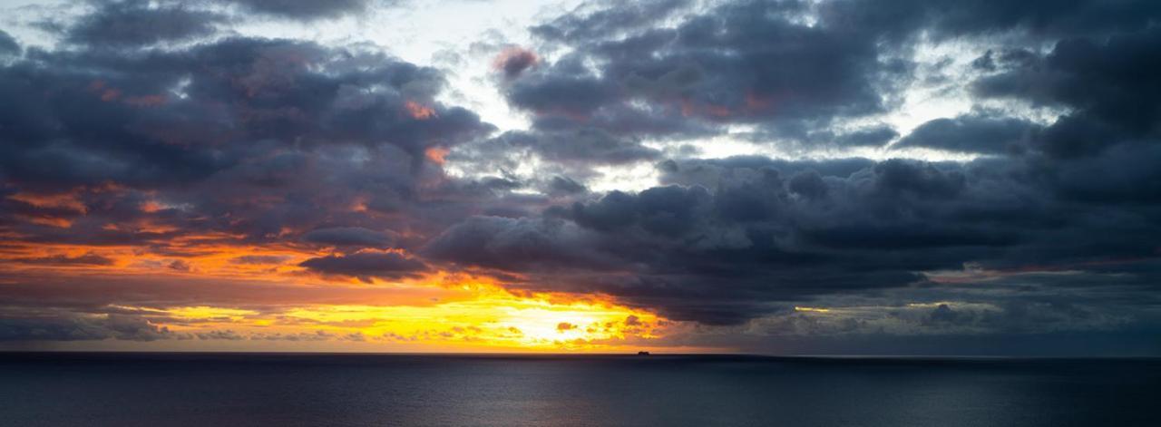 Shearwaters - Sounds Of The Sea Apartament Funchal (Madeira)