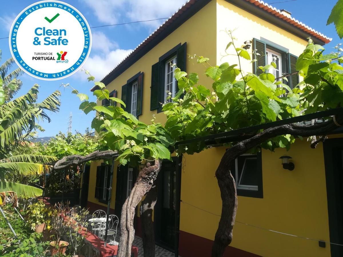 Case de vacanță Casa D'avo Celina *