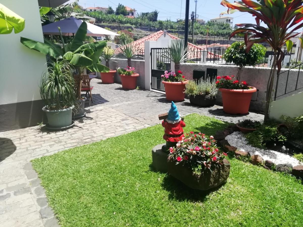 Apartment Madeira Flats