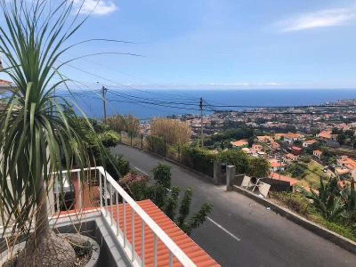 Madeira Livramento *