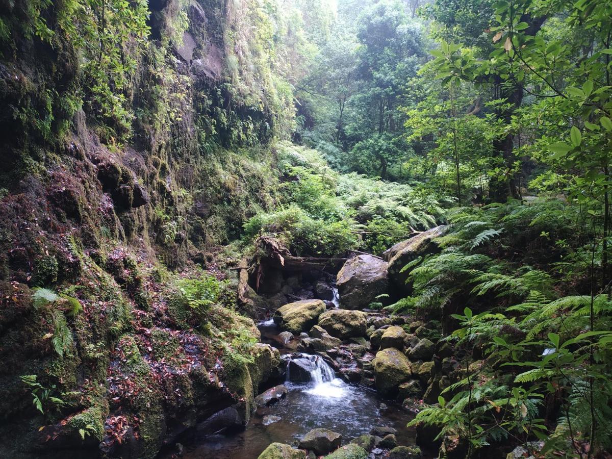 Holiday home Madeira Serenity Funchal (Madeira)