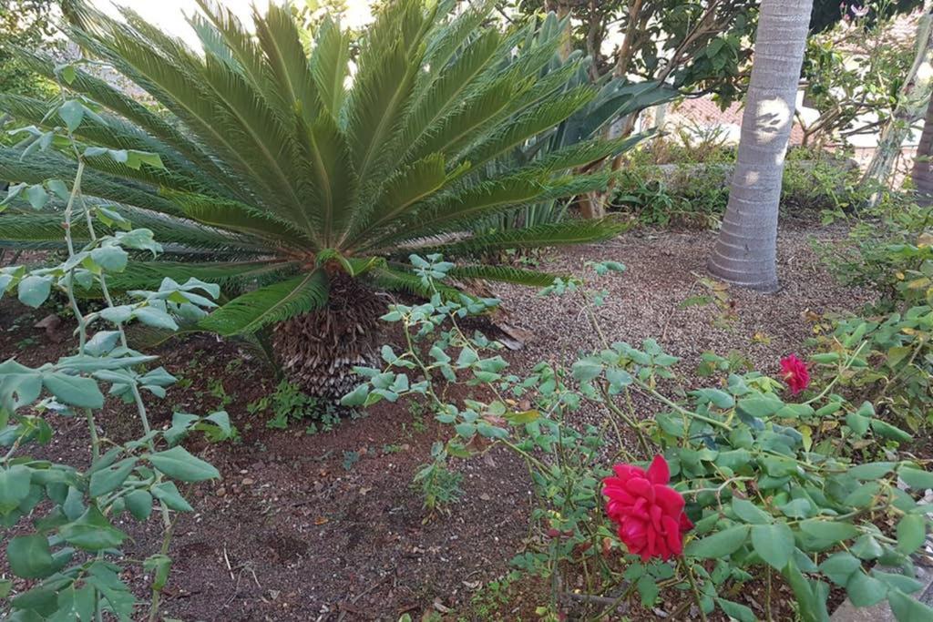 Holiday home View Gardens Funchal (Madeira)