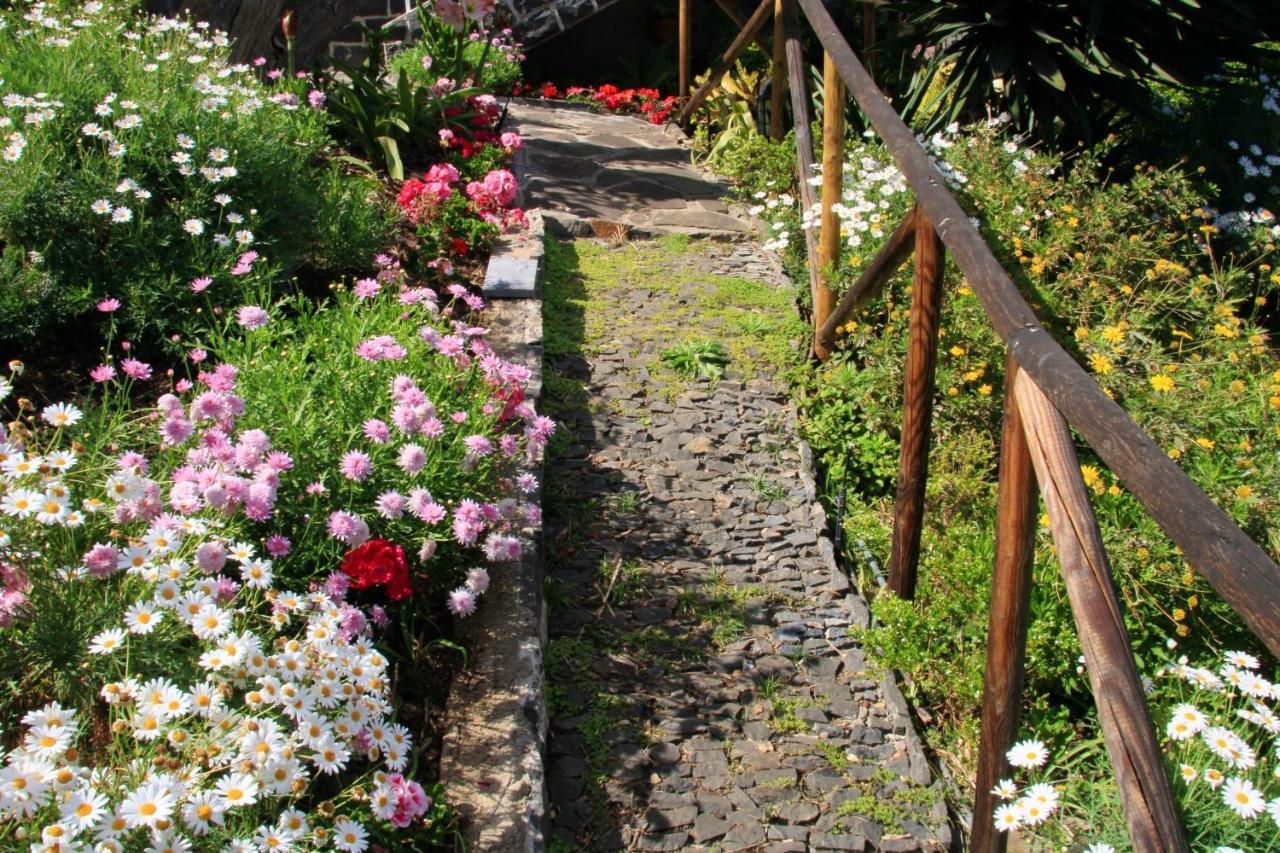 Vakantiehuis Charming In Funchal, Sea View