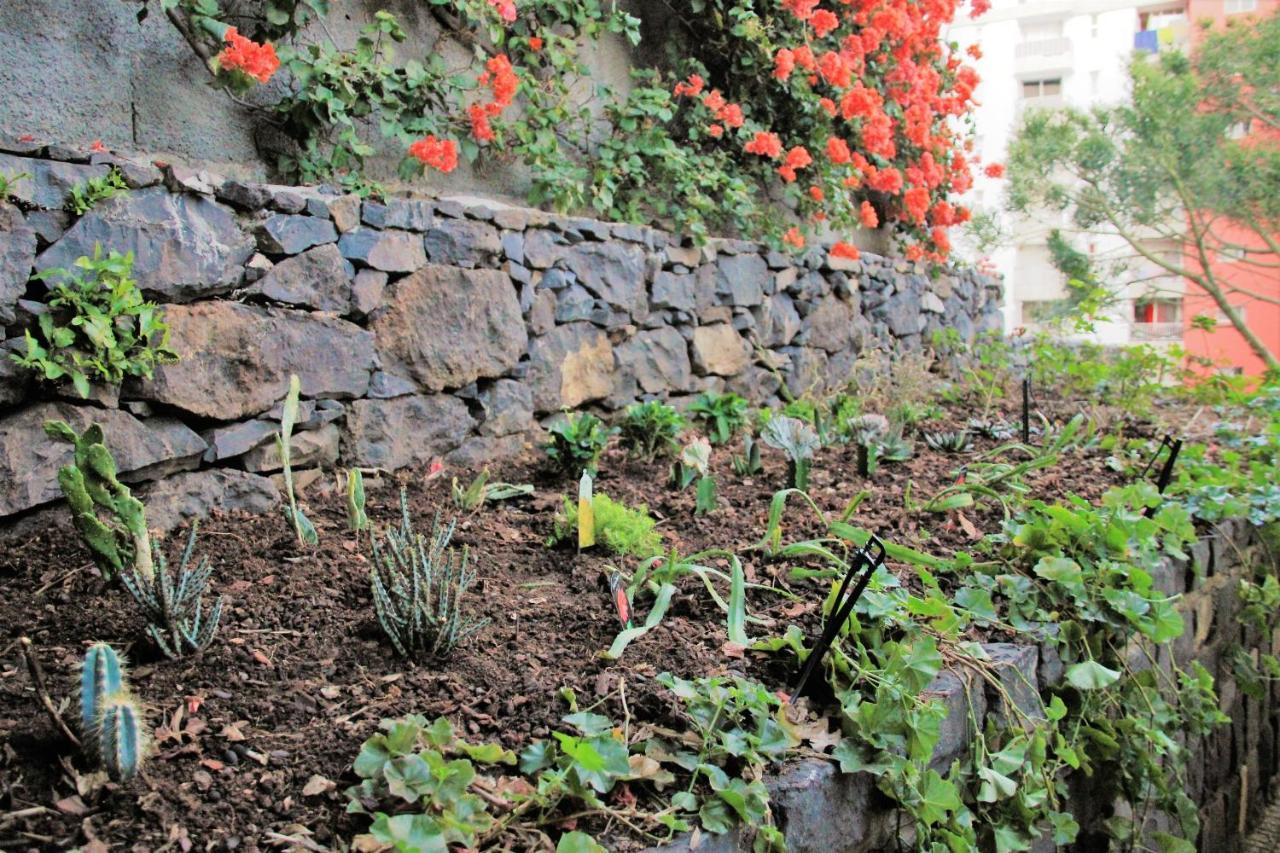 Charming In Funchal, Sea View Vakantiehuis