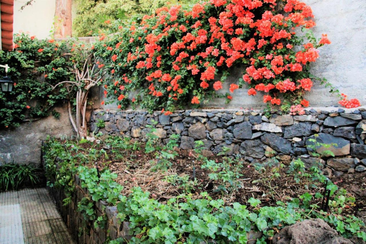Charming In Funchal, Sea View
