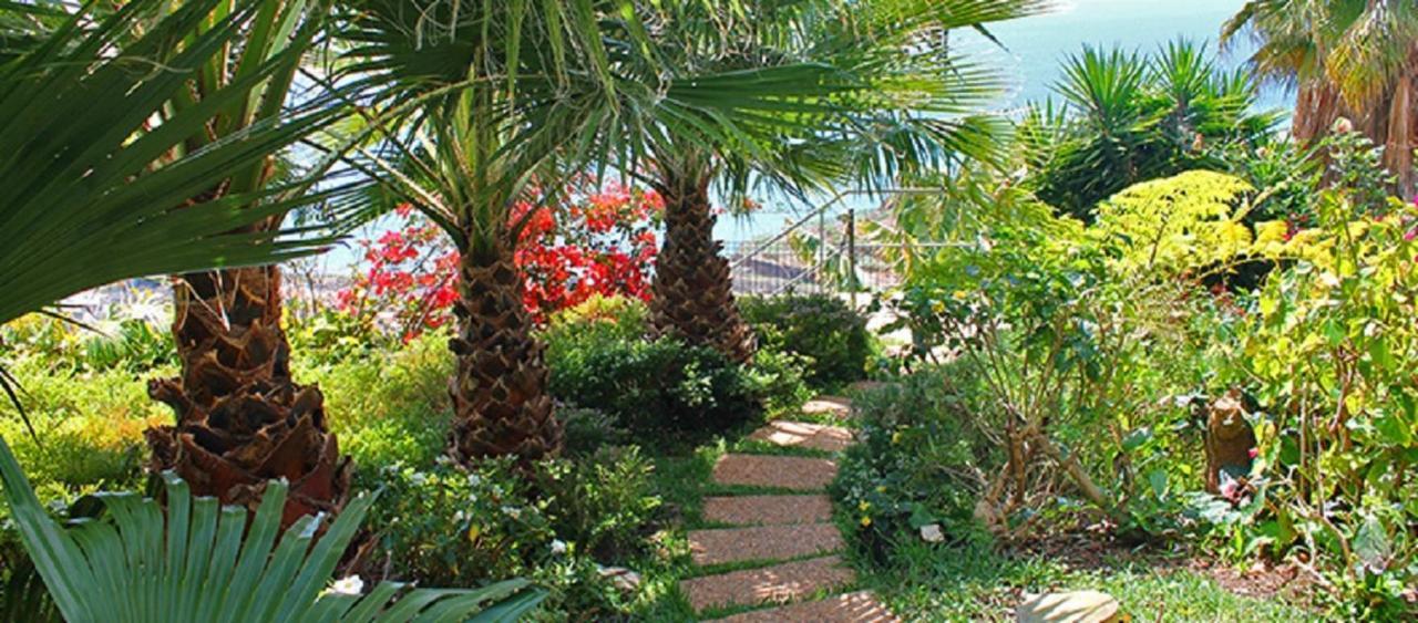 Casa Do Papagaio 3* Funchal (Madeira)