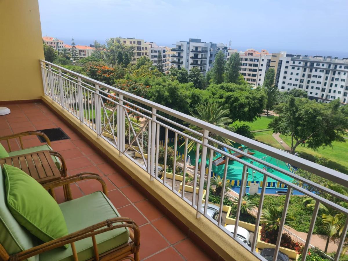 Tulipa View *