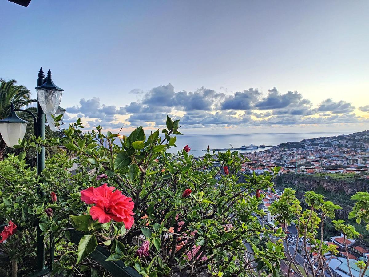 Casa Bergmann By Lovelystay Ferienhaus Funchal (Madeira)