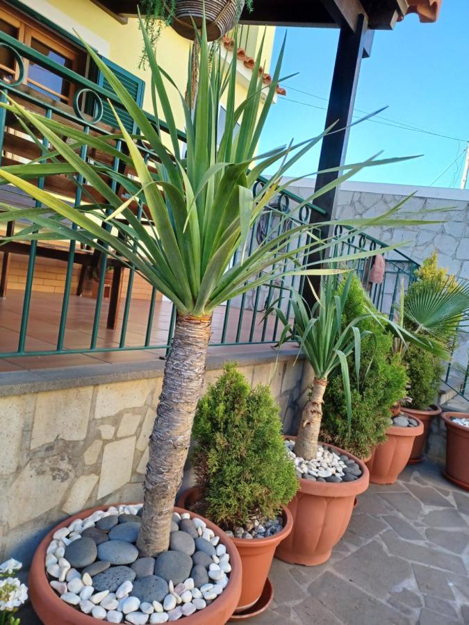 House Near Cr7 Museum * Funchal (Madeira)
