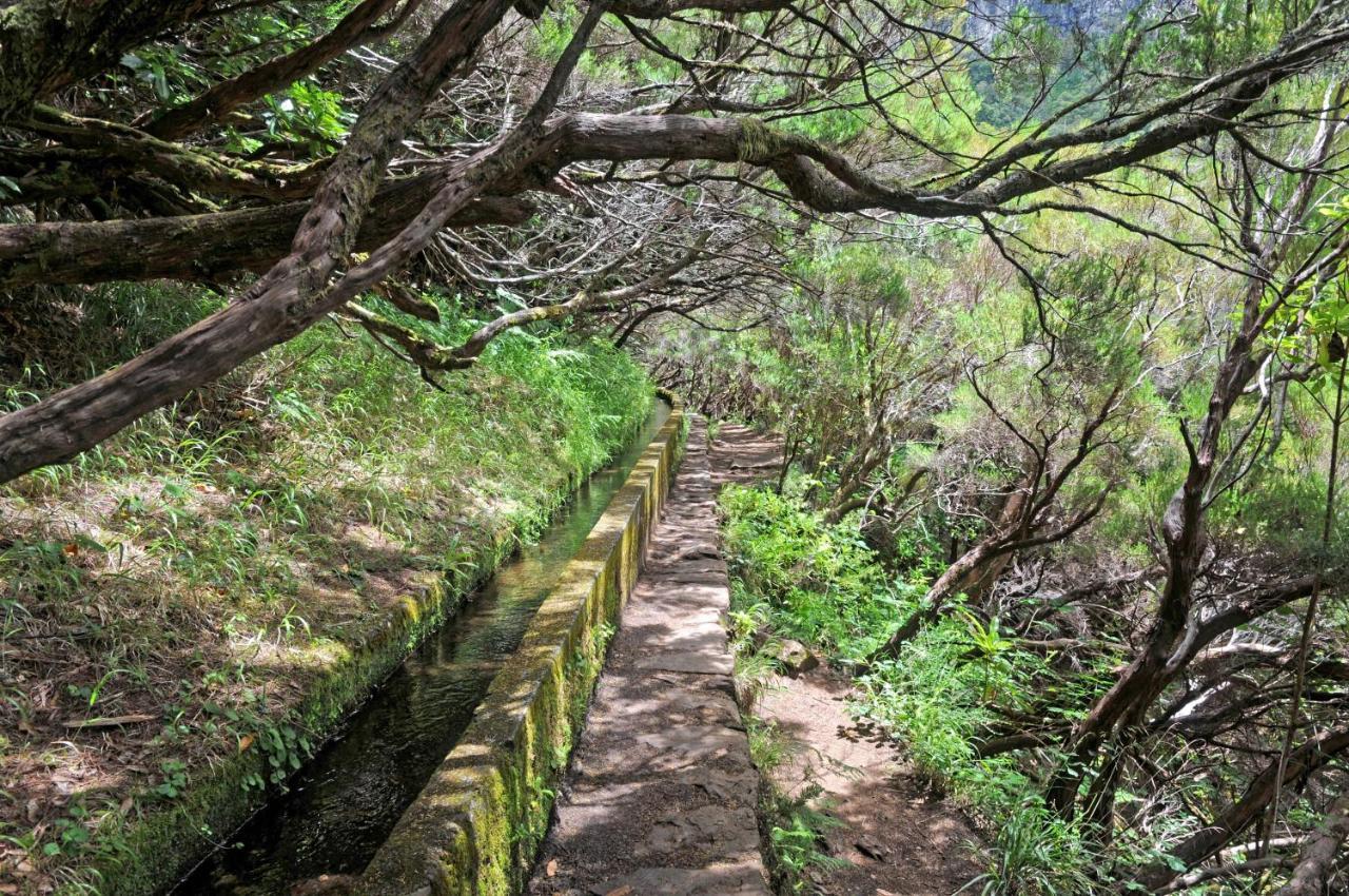 Belvedere Funchal (Madeira)