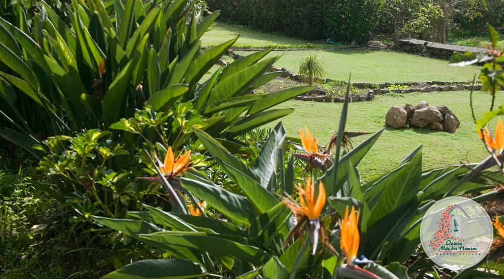 Quinta Mae Dos Homens