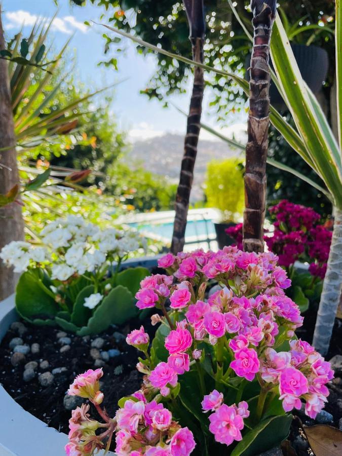 Holiday home The Farm House.23 Funchal (Madeira)