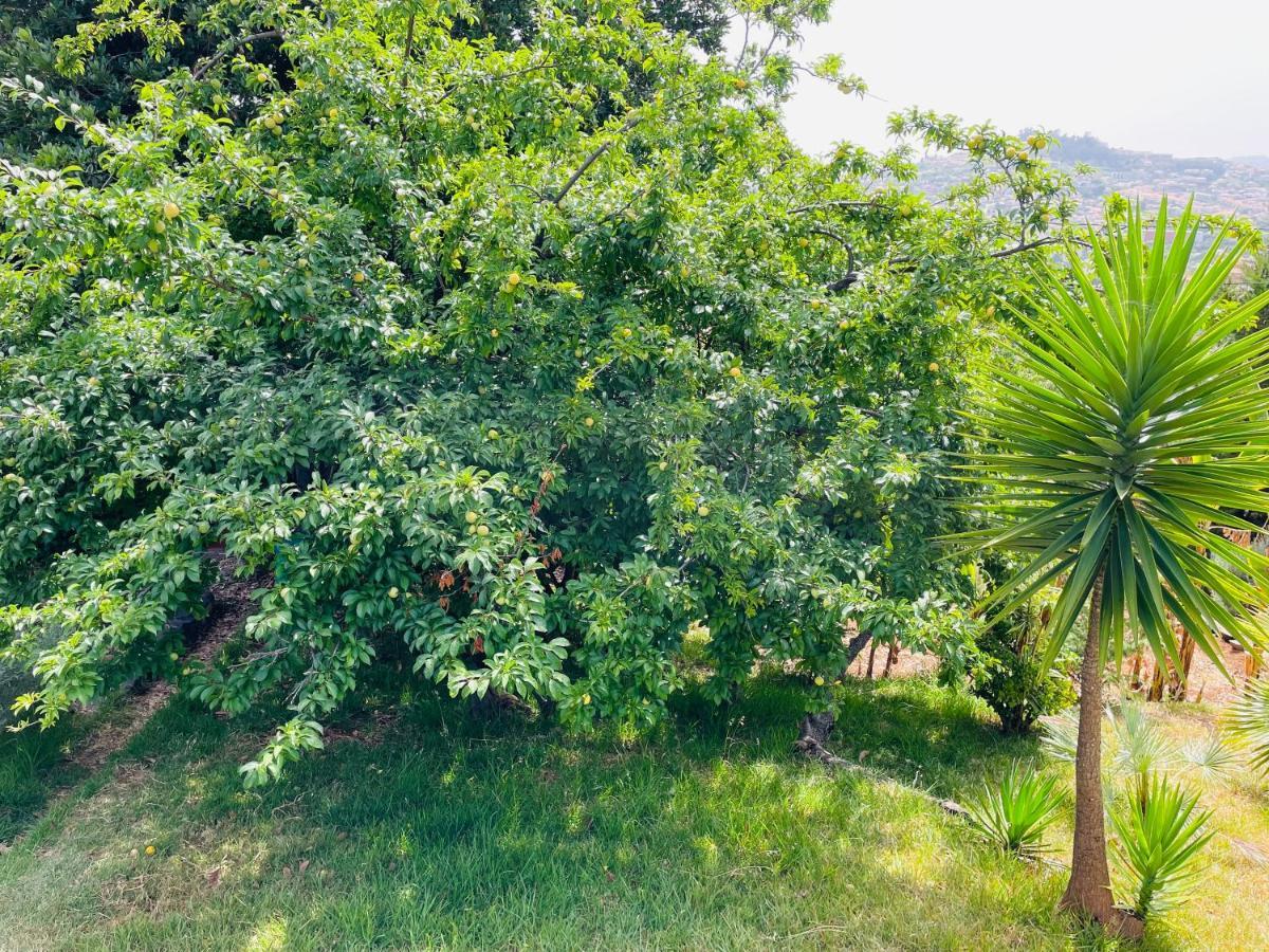 The Farm House.23 Casa de férias