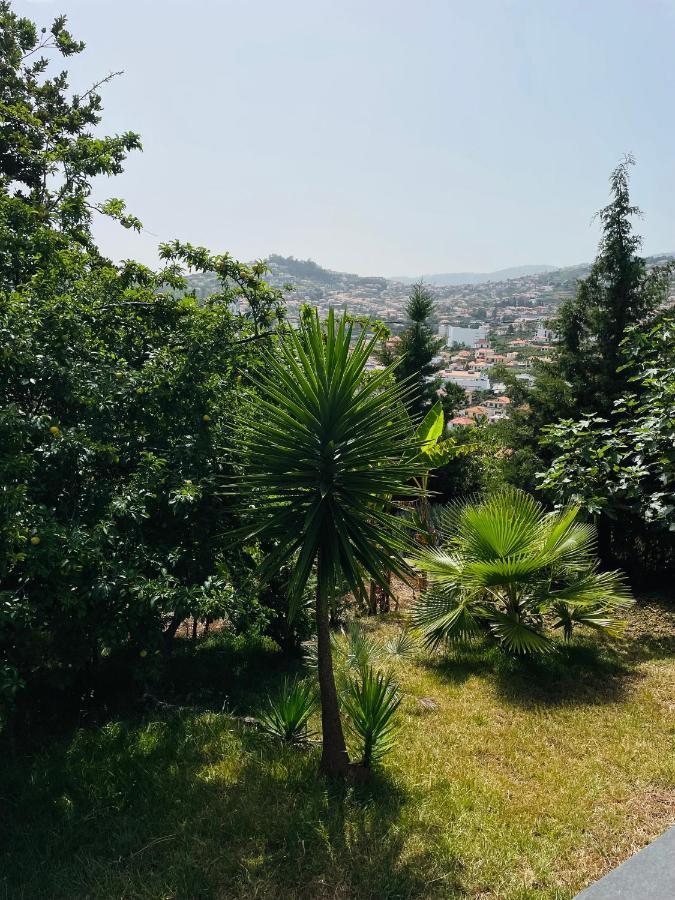 The Farm House.23 Funchal (Madeira)