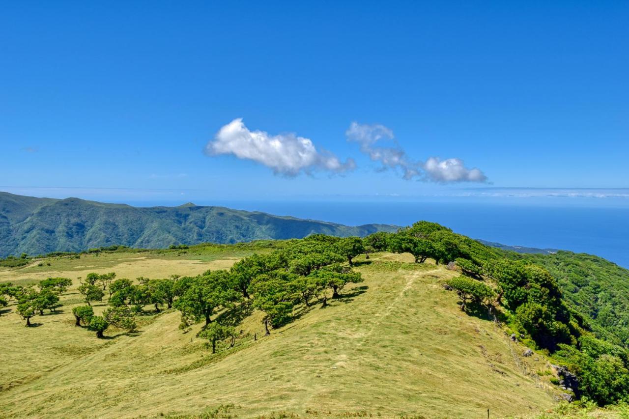 Encarnacao Apartment, A Home In Madeira Funchal (Madeira)