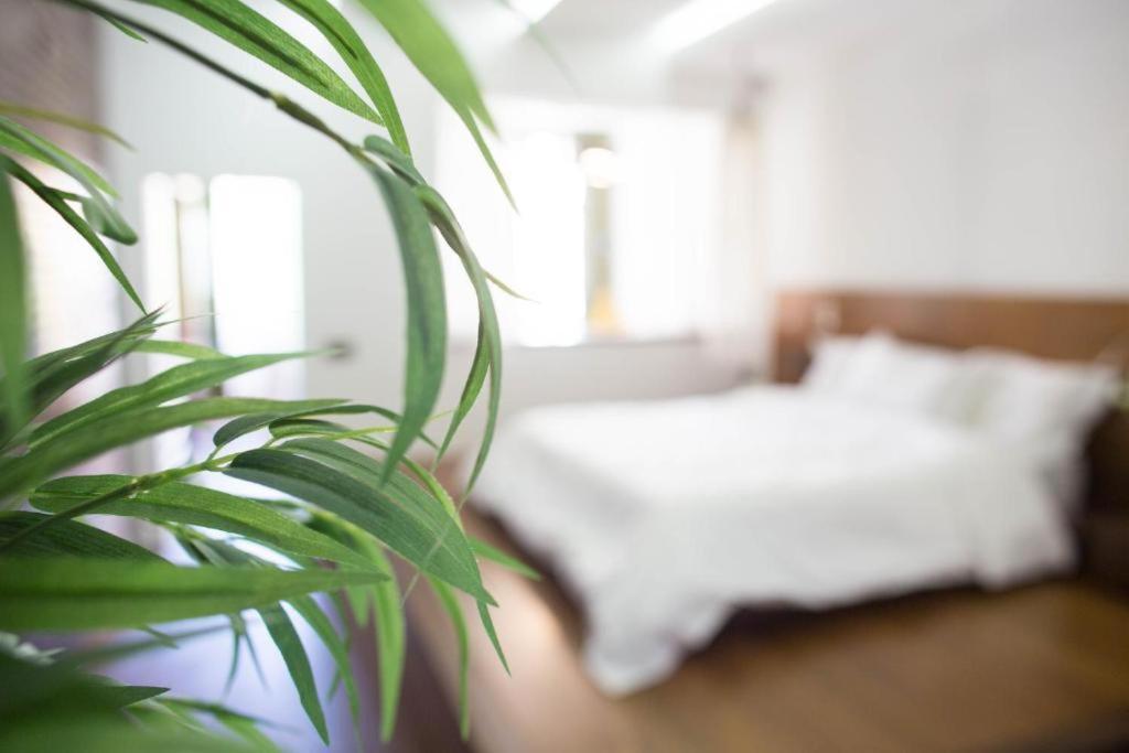 Madeira Loft I - Center