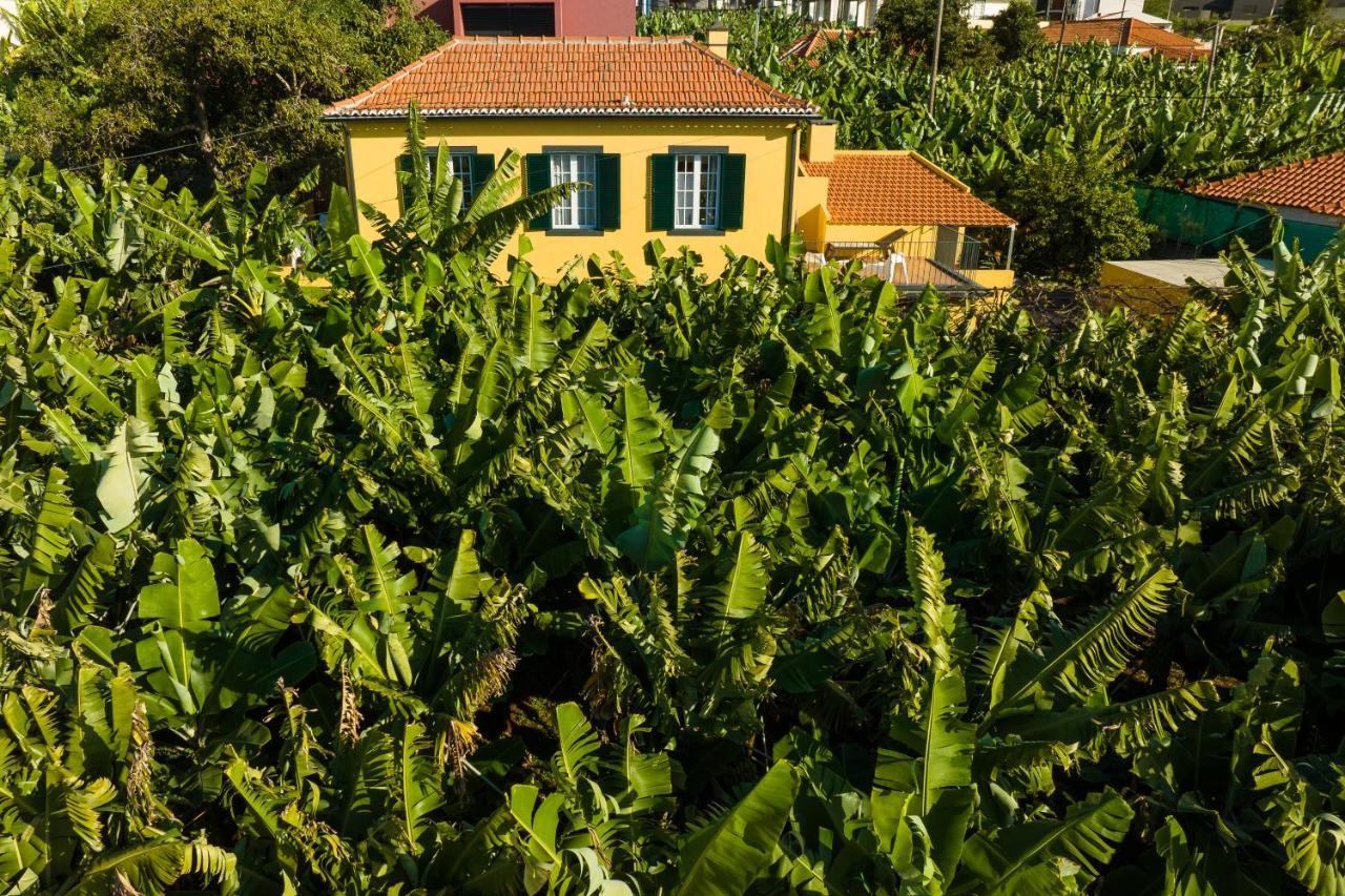 Case de vacanță Casa D'avo Celina