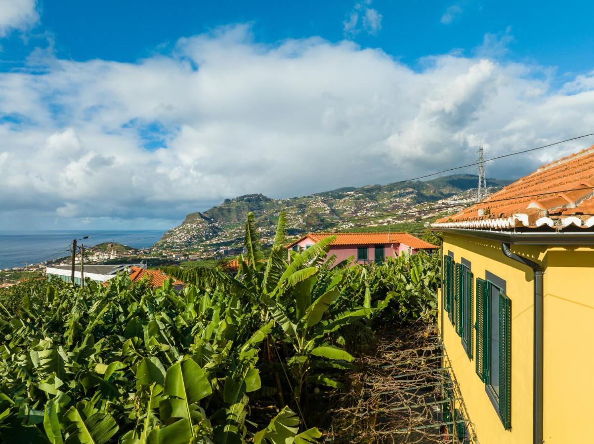 Casa D'avo Celina