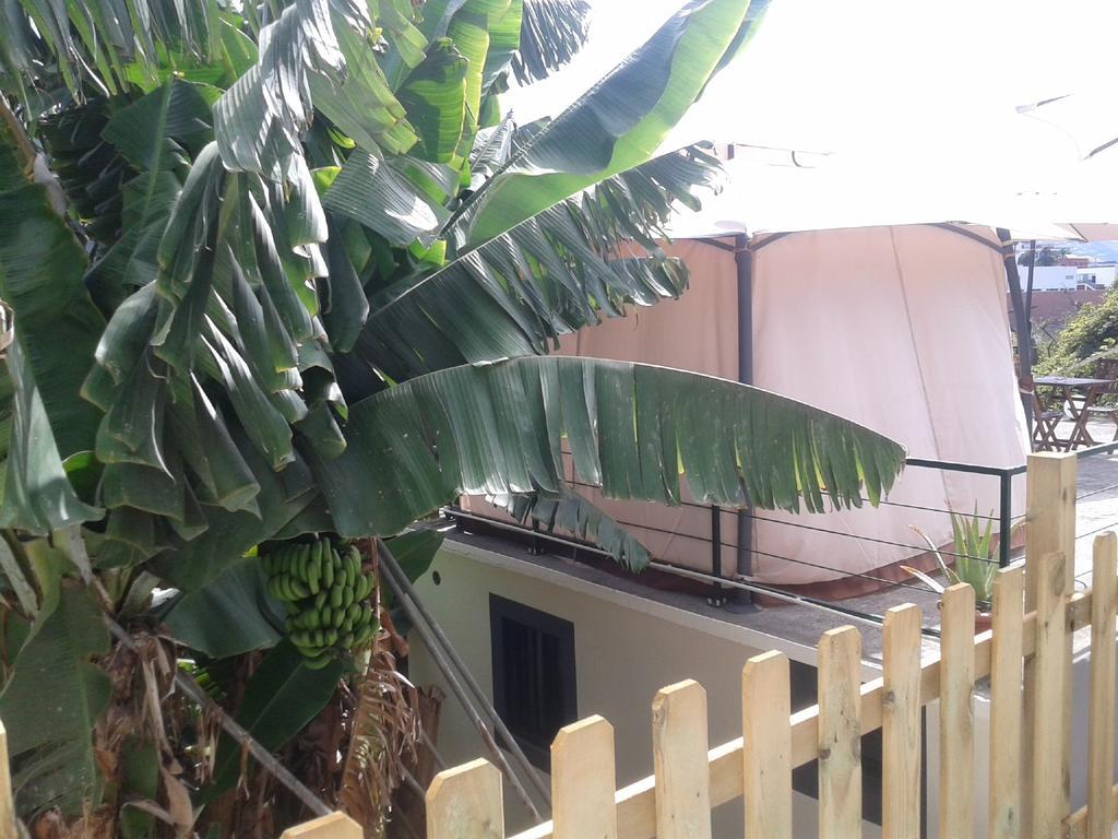 Cantinho Das Bananas