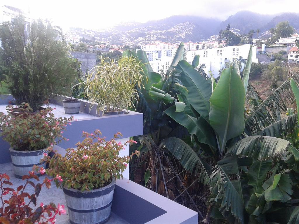 Ferienhaus Cantinho Das Bananas Funchal (Madeira)