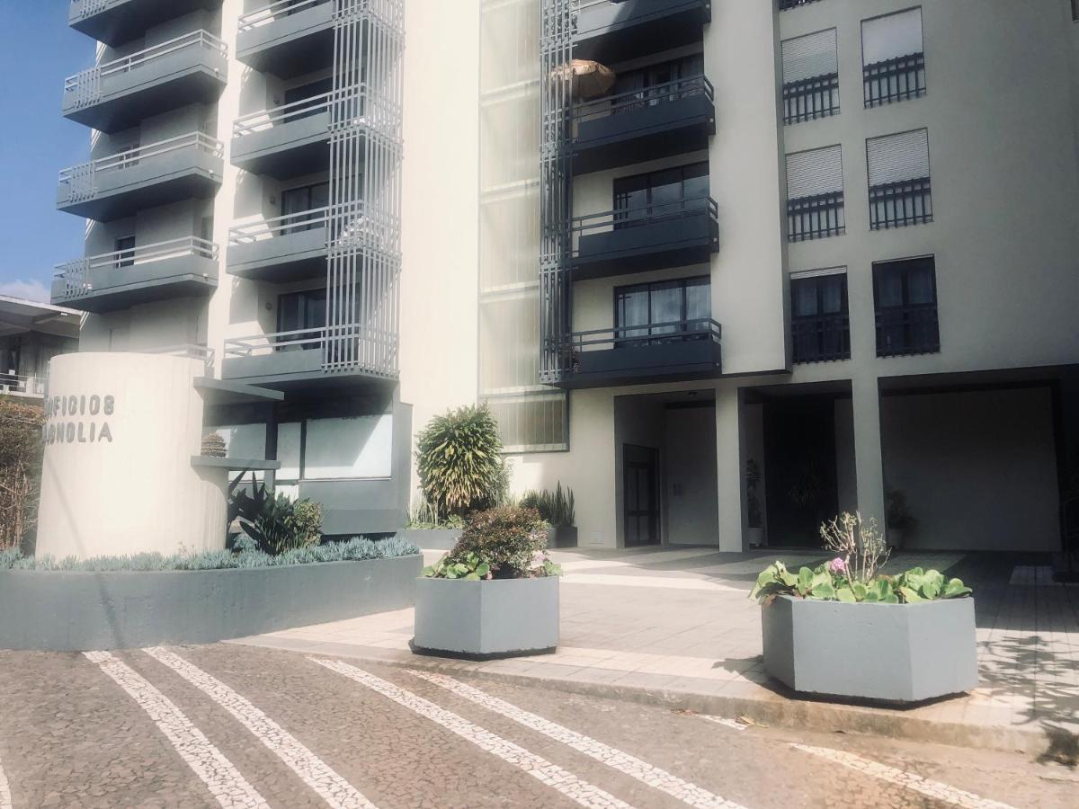 Blue River - Rua Dr Pita - Near Jardim Magnolia *
