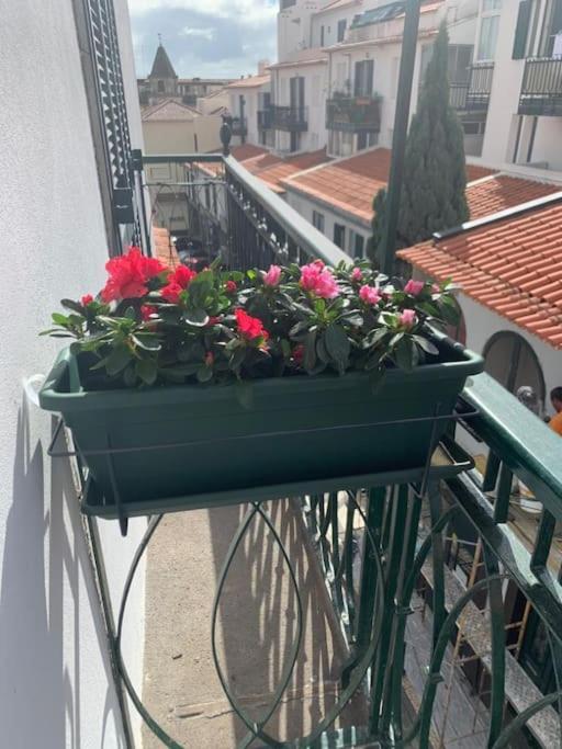 Primavera: Centre, Modern W/balcony *