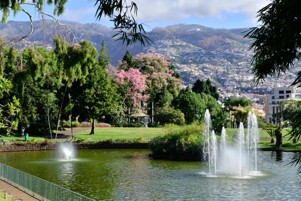 Apartment Ocean Paradise Do Til Funchal (Madeira)