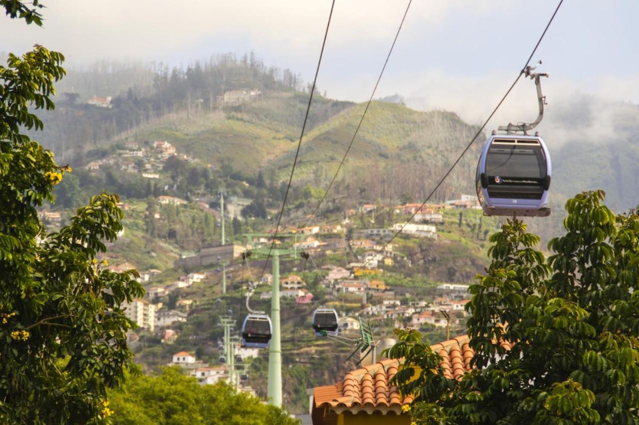 Ocean Paradise Do Til * Funchal (Madeira)