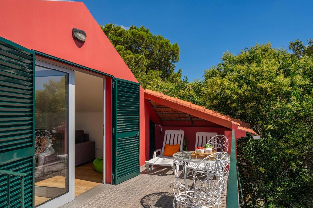 Holiday home Casa Strelitzia By An Island