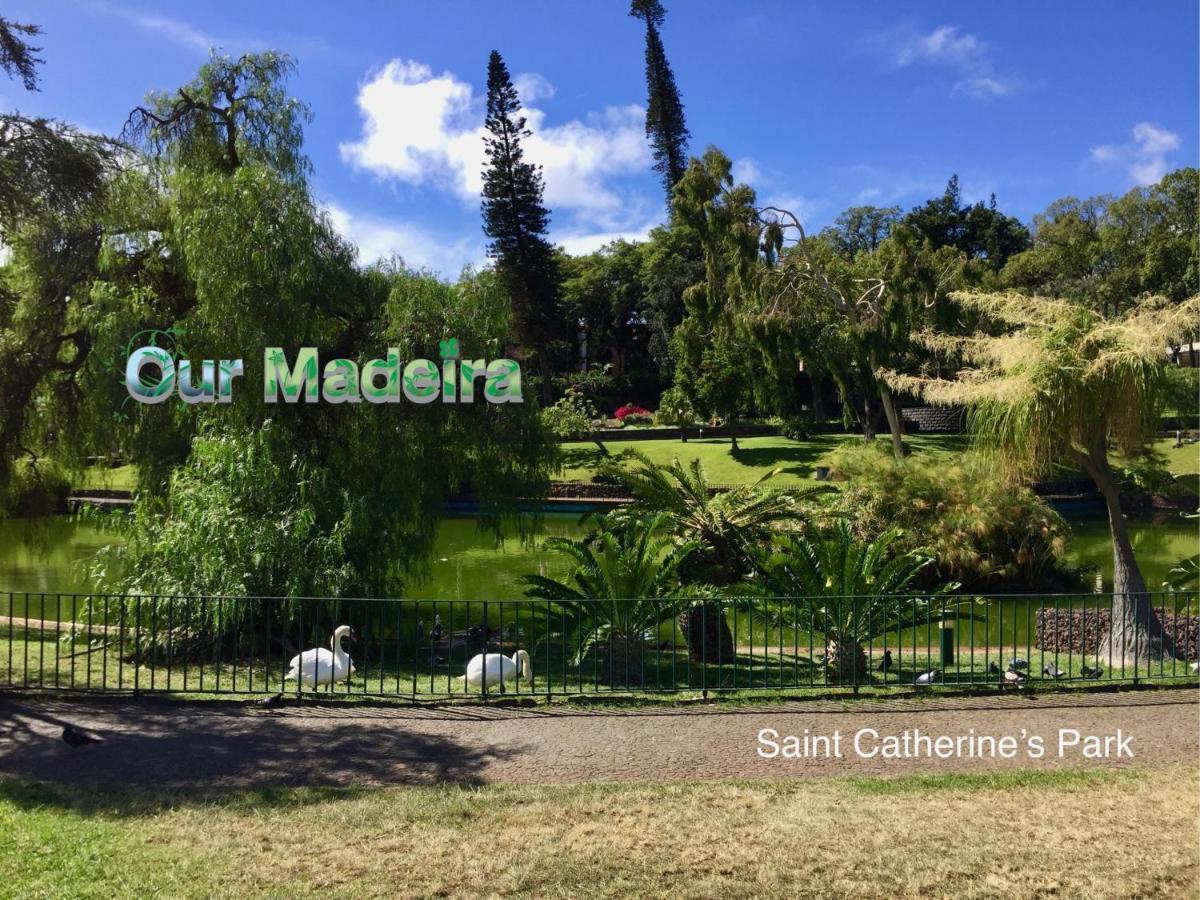 Ourmadeira - Belleveva *