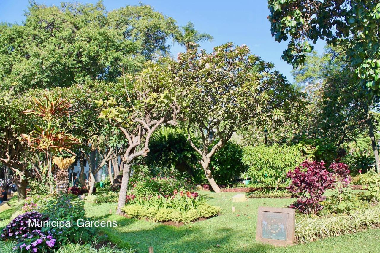 Ourmadeira - Belleveva Villa