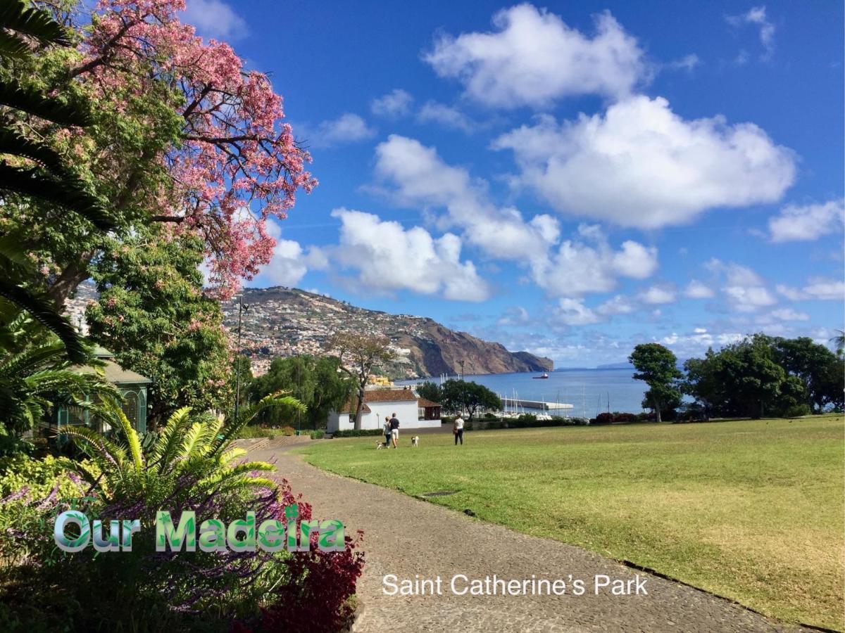 Ourmadeira - Belleveva Villa *