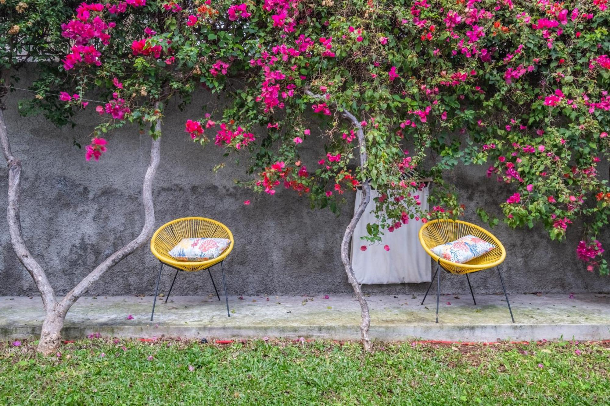 Casa Buganvilia Holiday home Funchal (Madeira)