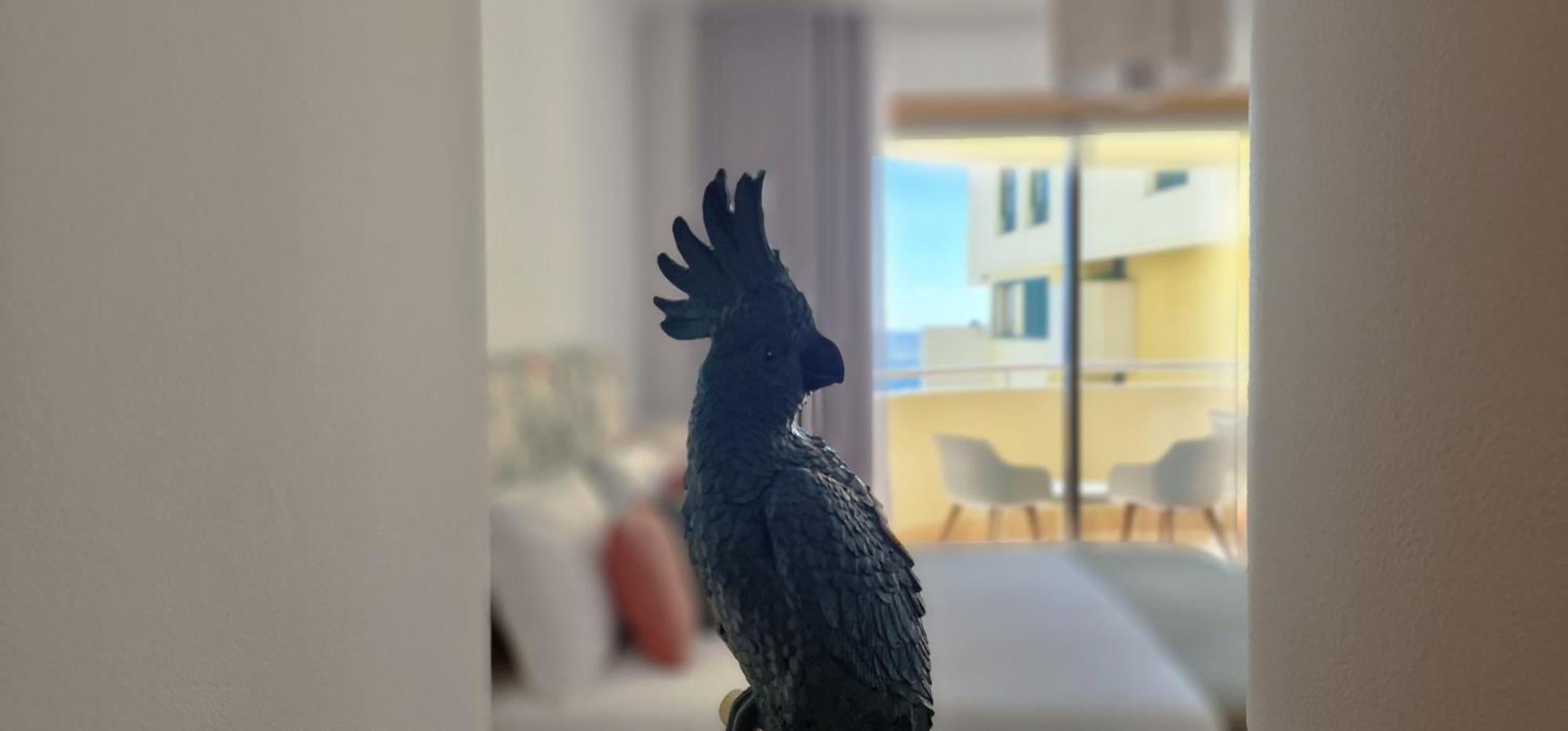 Apartment Glorious By Lovelystay Funchal (Madeira)