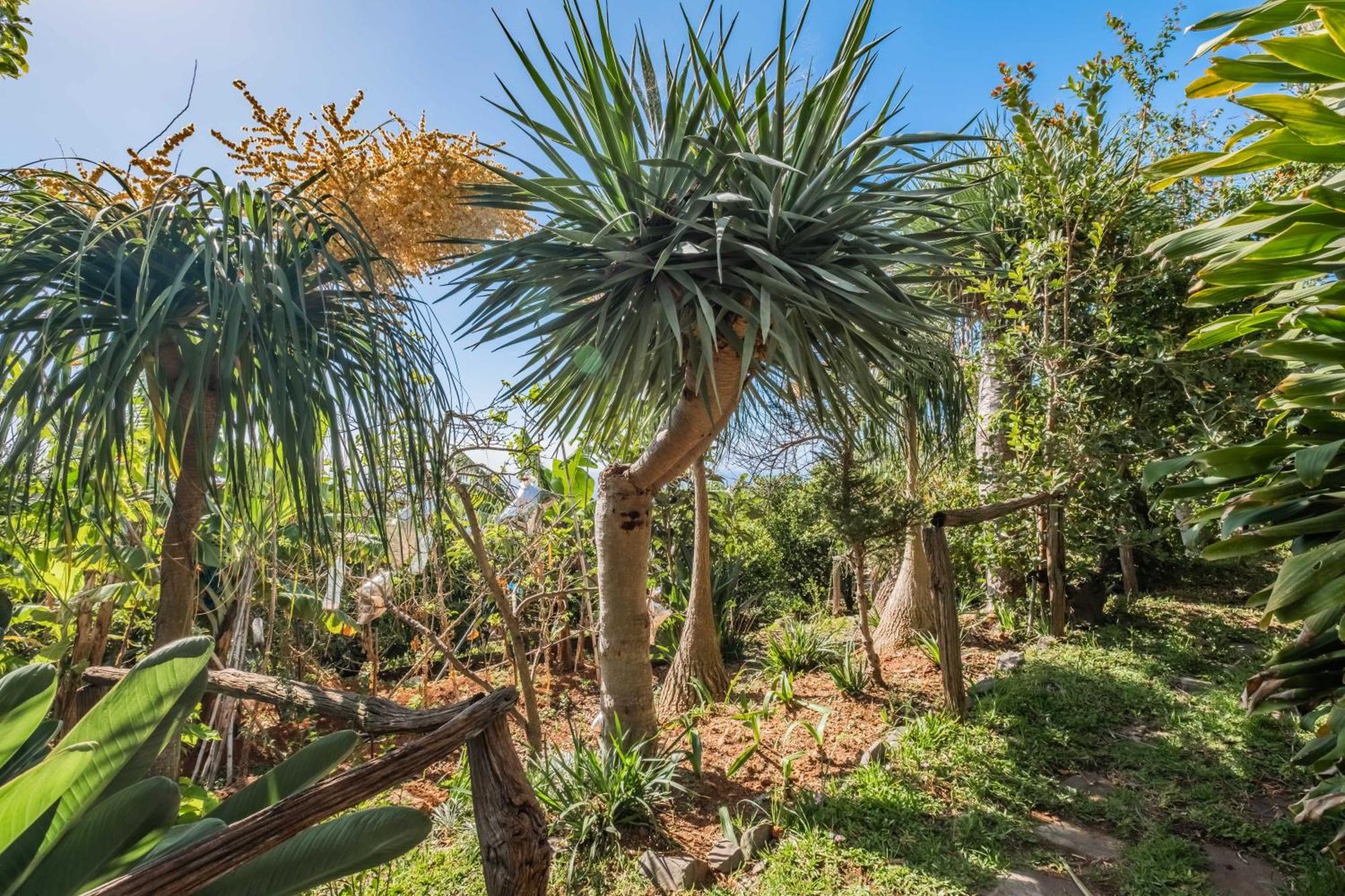 Biofuncho Garden Funchal (Madeira)